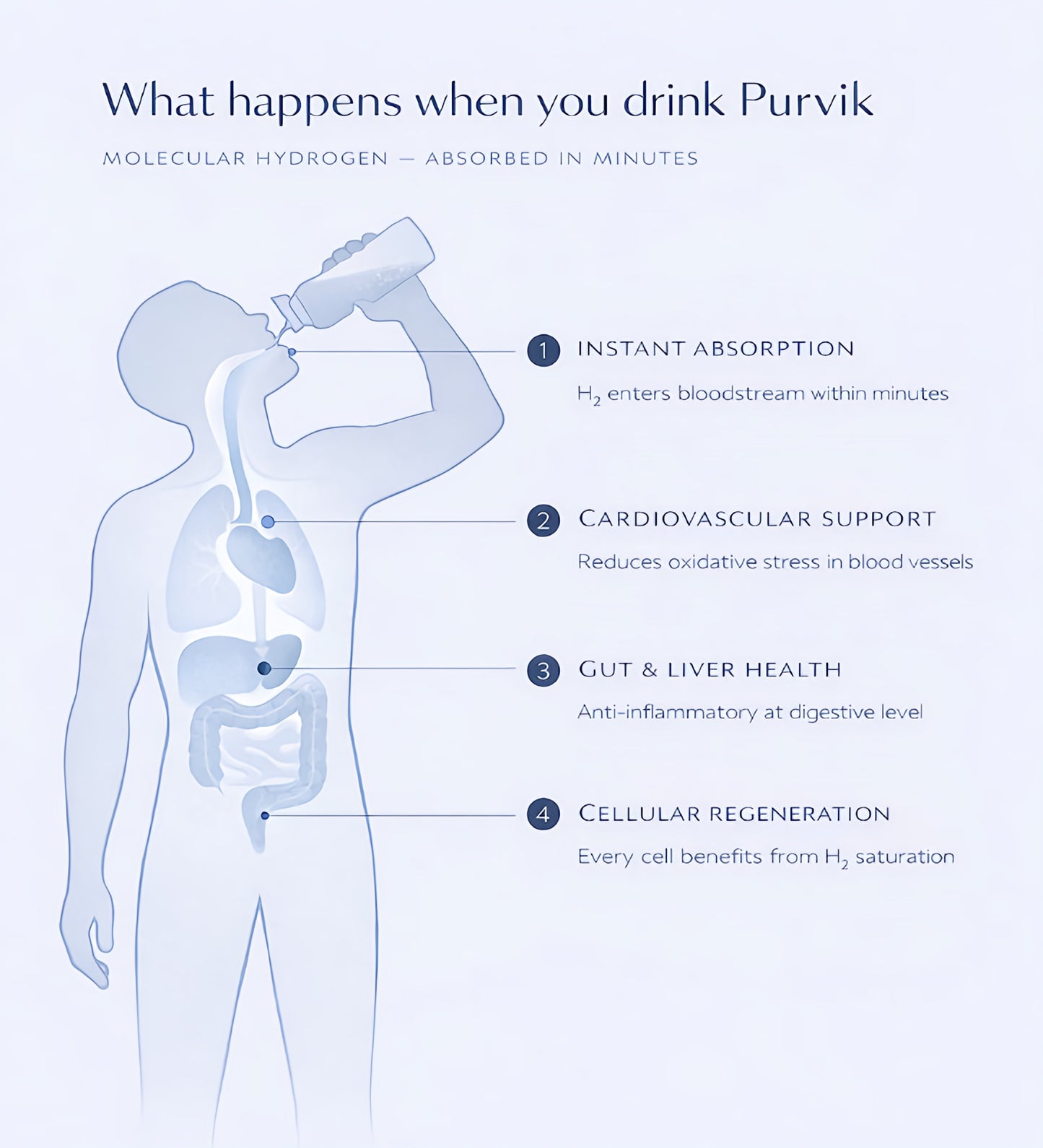 Purvik Hydrogen Water Bottle — Drink Smarter.  Feel the Difference in 7 Days.